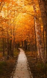 Jesup,Trail,Acadia,National,Park,New,England.,Powerful,Moody,Epic Jesup,Trail,Acadia,National,Park,New,England.,Powerful,Moody,Epic